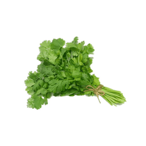 Coriander leaf