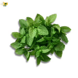 Fresh Mint , afwaan
